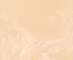 #1101 Peach Bisque/White