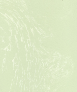 #118 Honey Dew/White