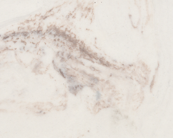 #123 White/Classic Mink