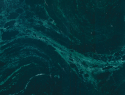 #134 Hunter Green/White