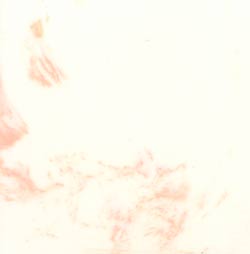 #137 White/Peach Blossom