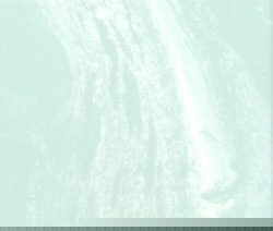 #190 New Seafoam Green/White